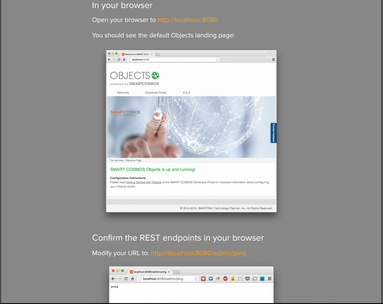 sc-objects-devkit-4.3.PNG