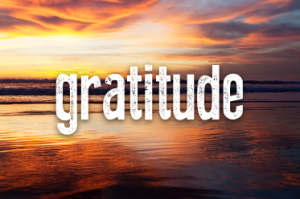 Gratitude Image.png