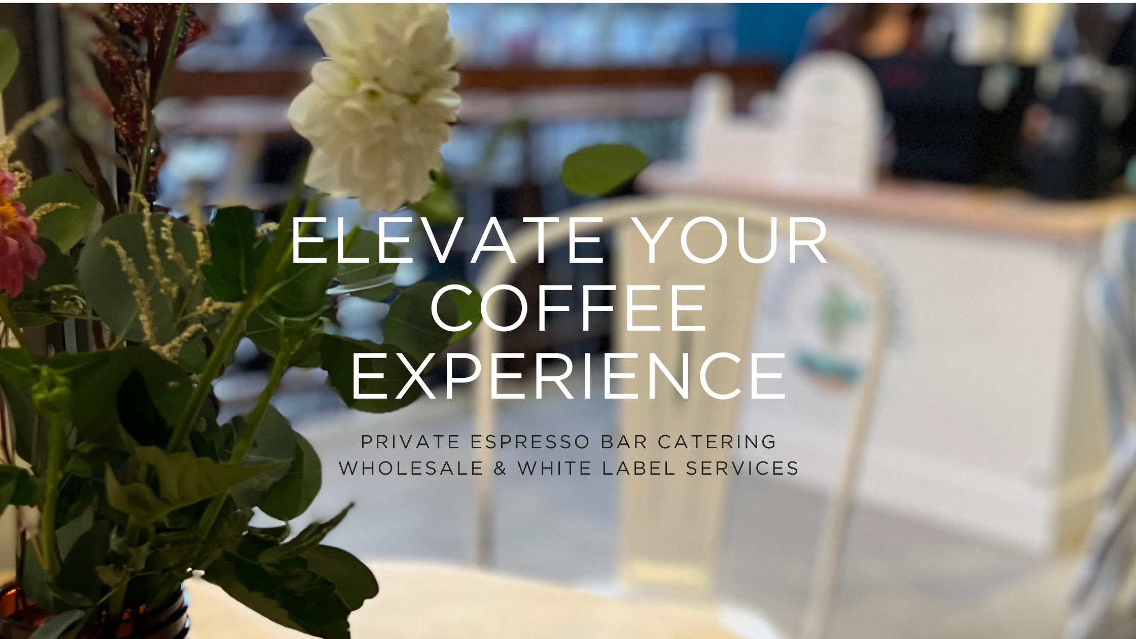 Blog Banner for Website Content.png