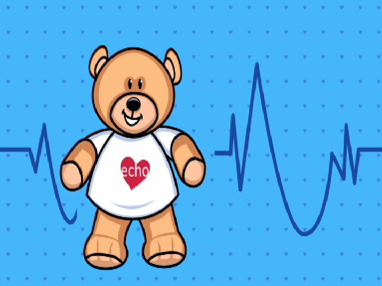 Echo bear4.jpeg