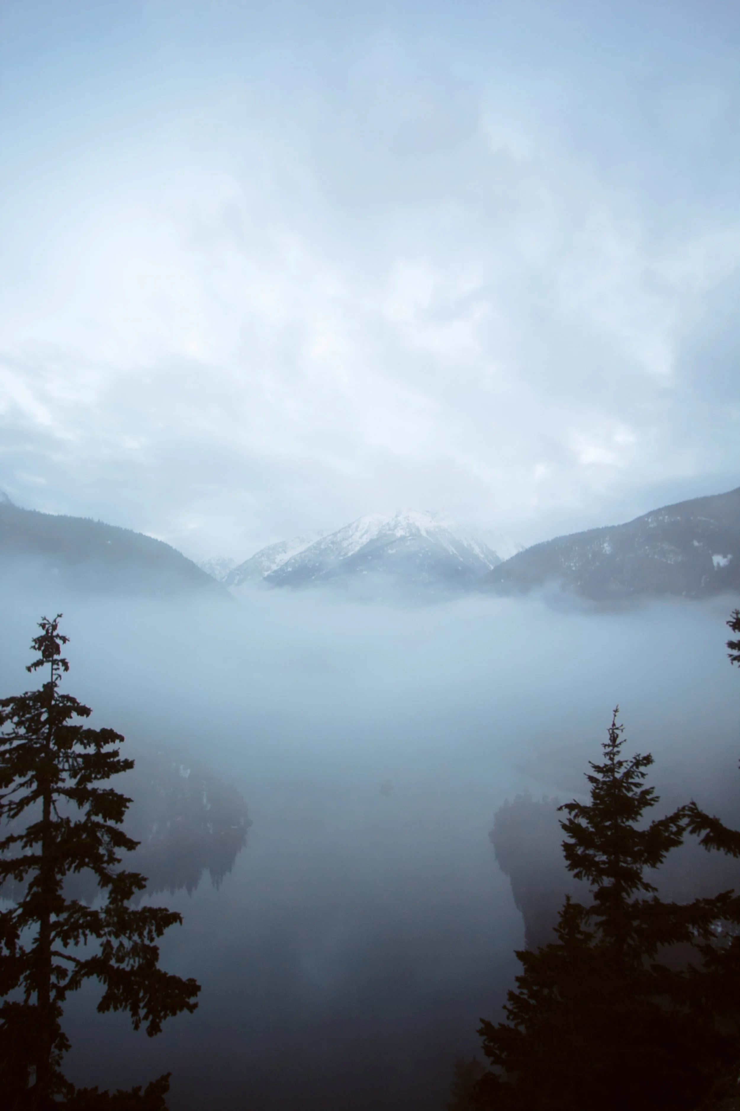 Diablo Seattle-10.jpeg