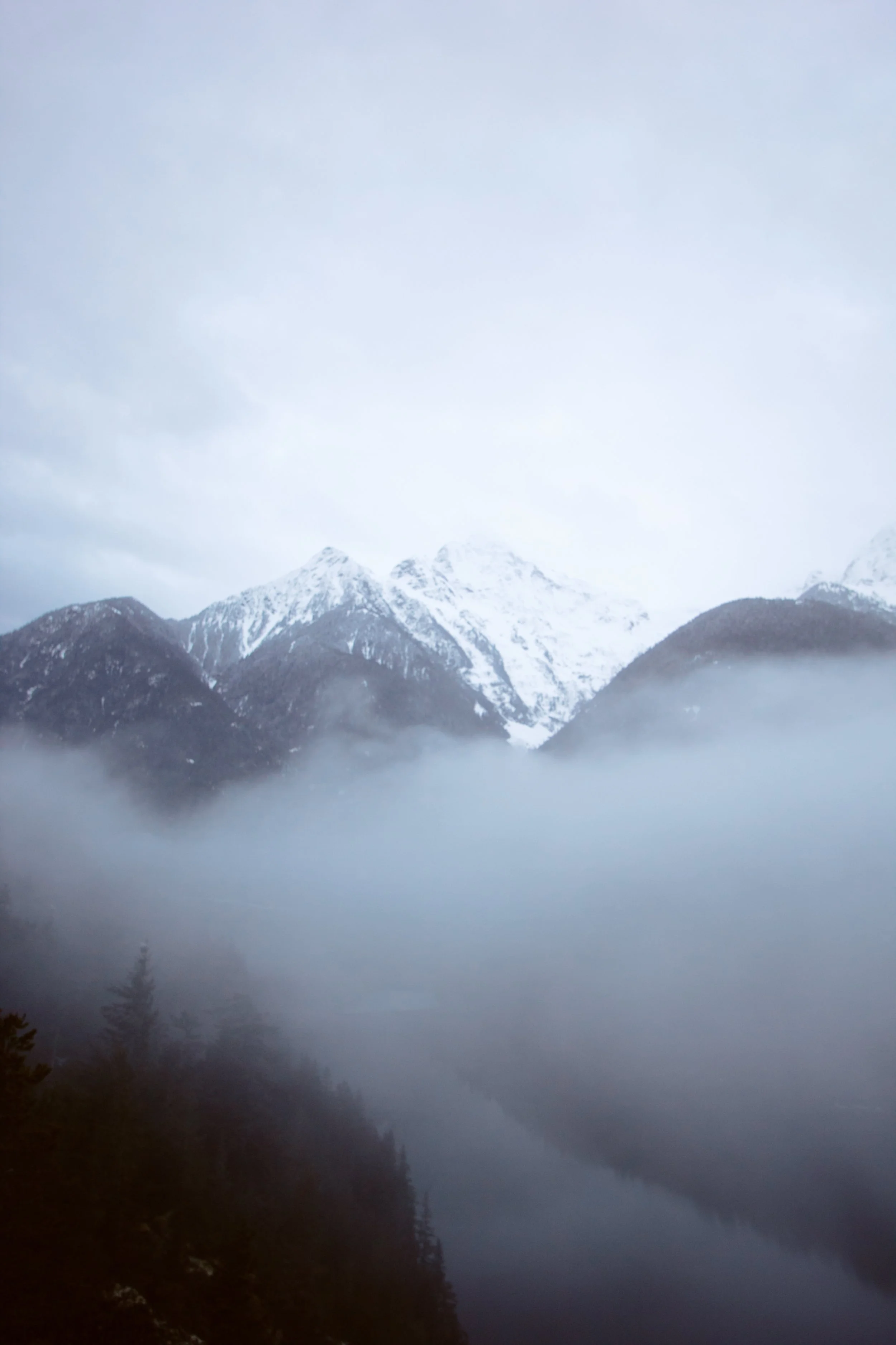 Diablo Seattle-5.jpeg