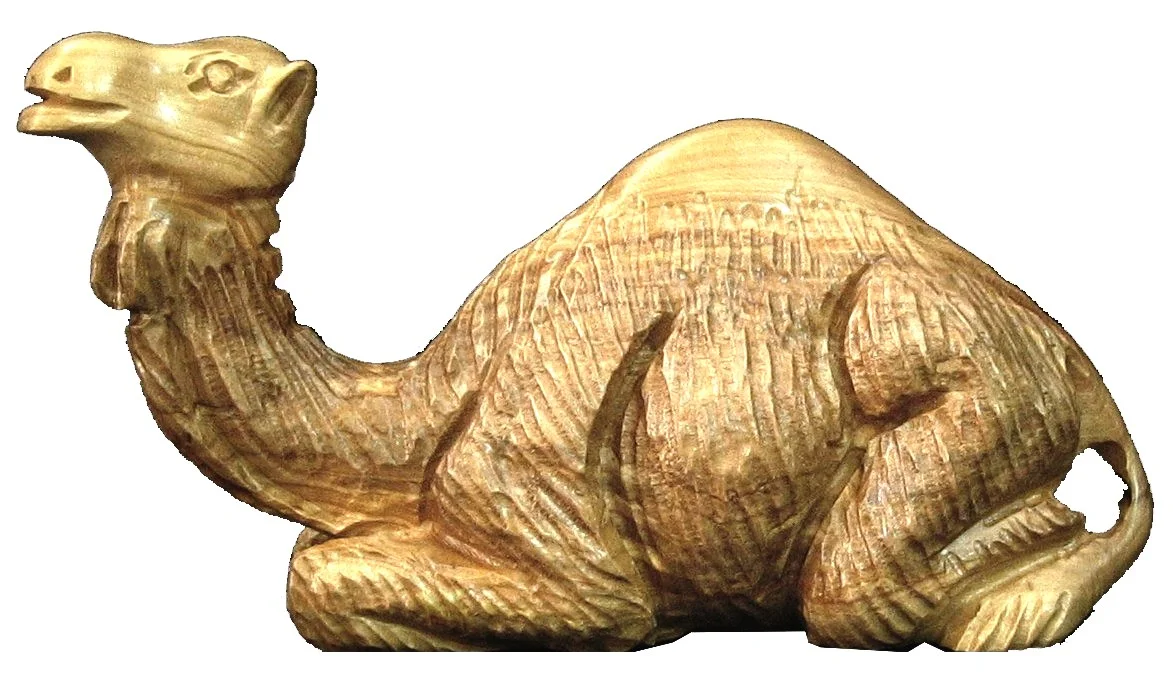 Camel (medium)