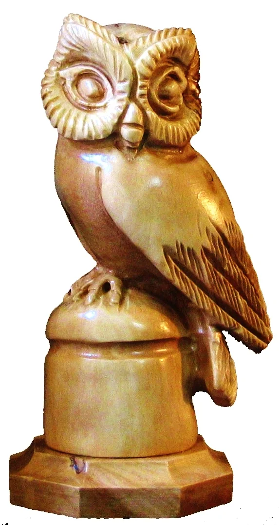 Owl