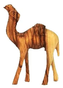 Standing camel