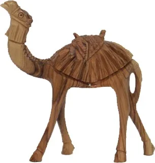 Standing camel