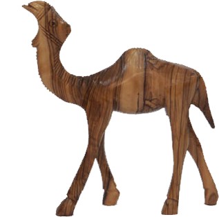   Standing Camel
