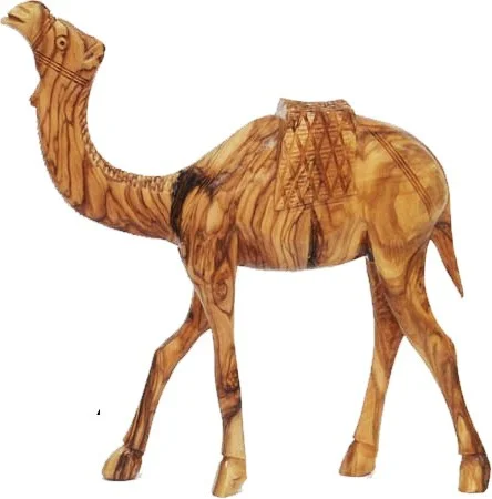 Standing camel
