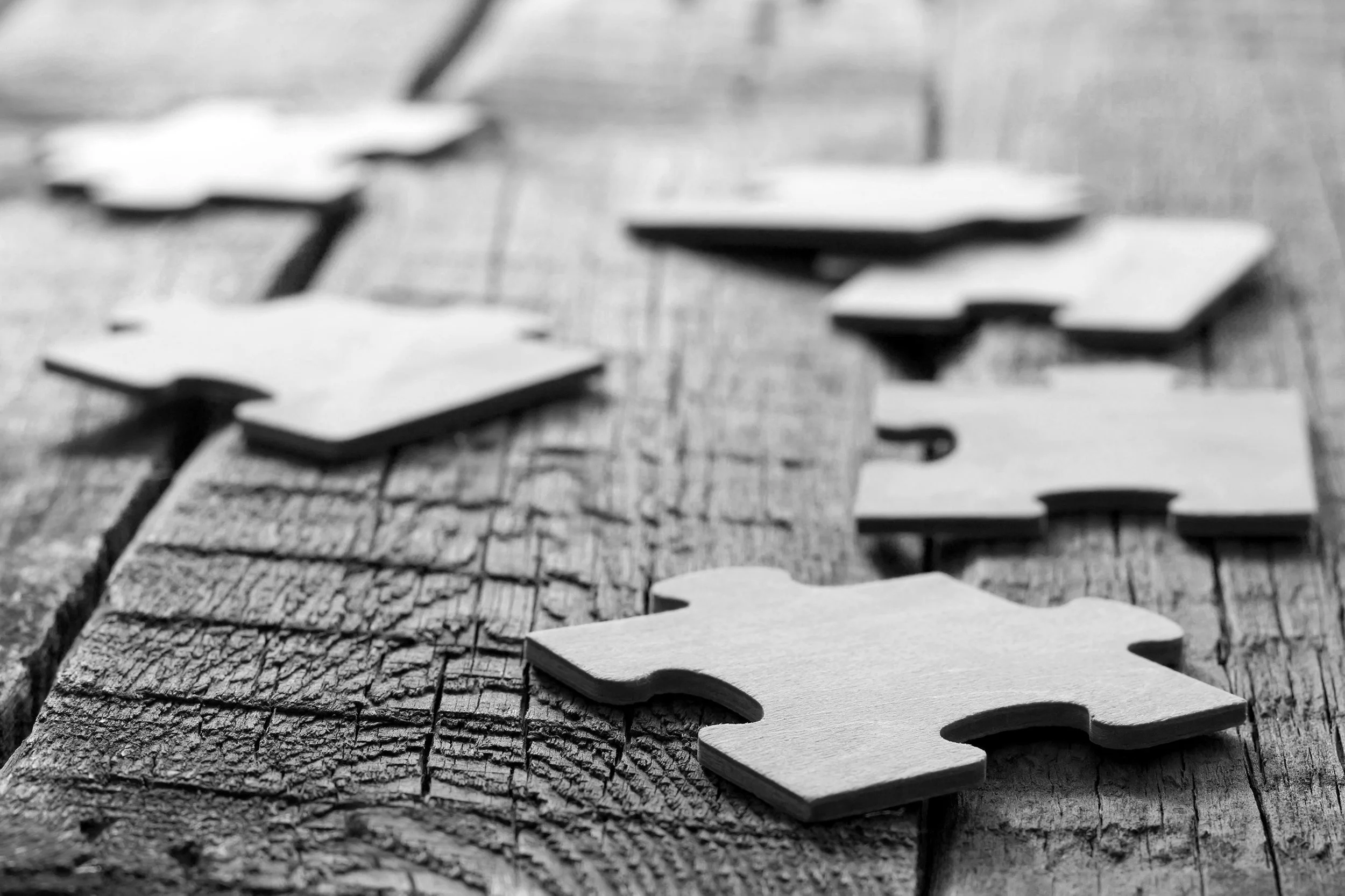 puzzle pieces.jpg