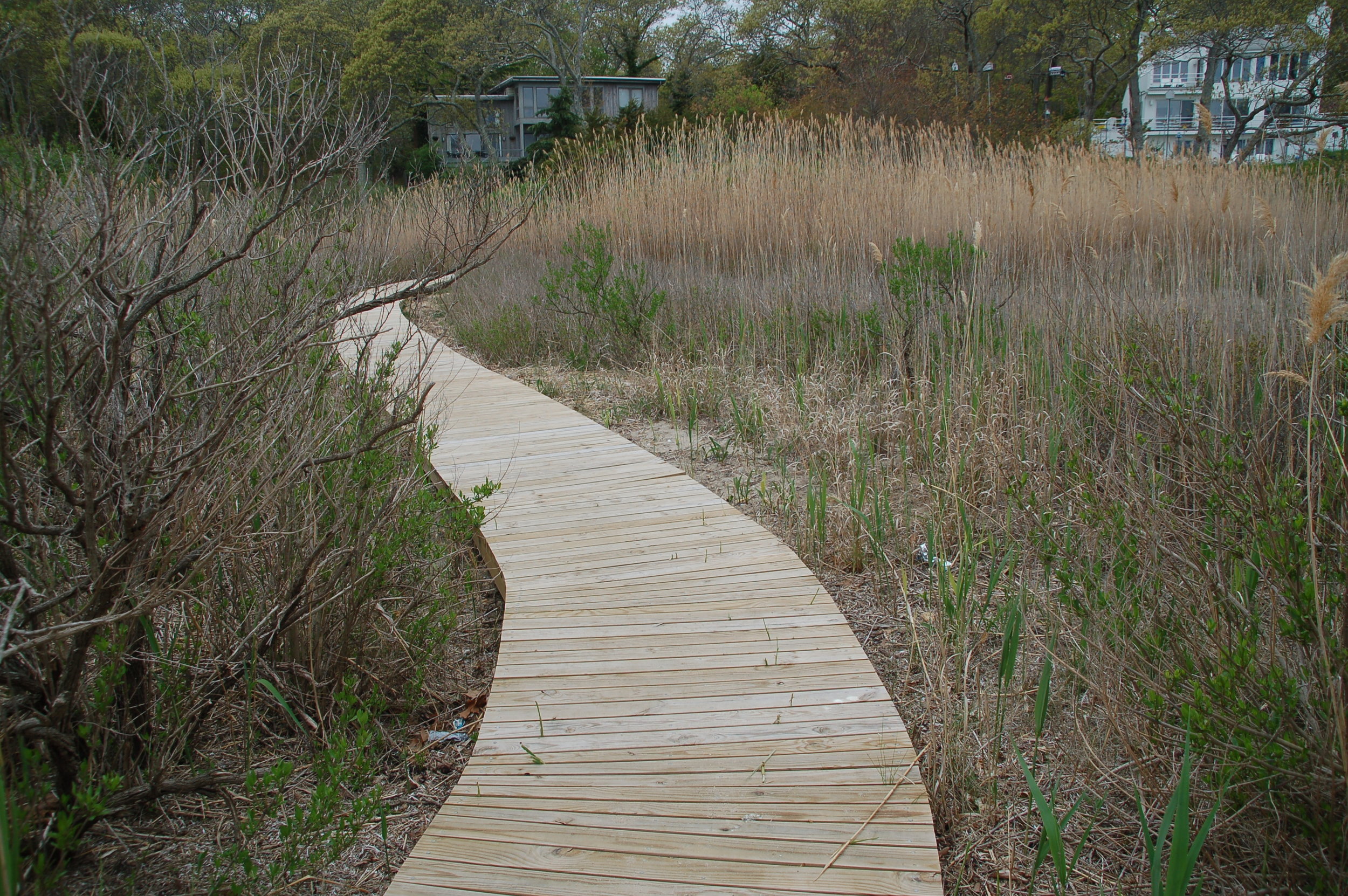 This is a photo of the old walkway which has been removed. We are accepting donations to construct a new walkway for access to the water. All donations are keep in a separate "Walkway" account. The entrance will be located at the intersection of Oyster Shores Road and Oyster Pond Lane where there is a 25 foot-wide reserve of land (owned by the Association) leading to Three Mile Harbor.