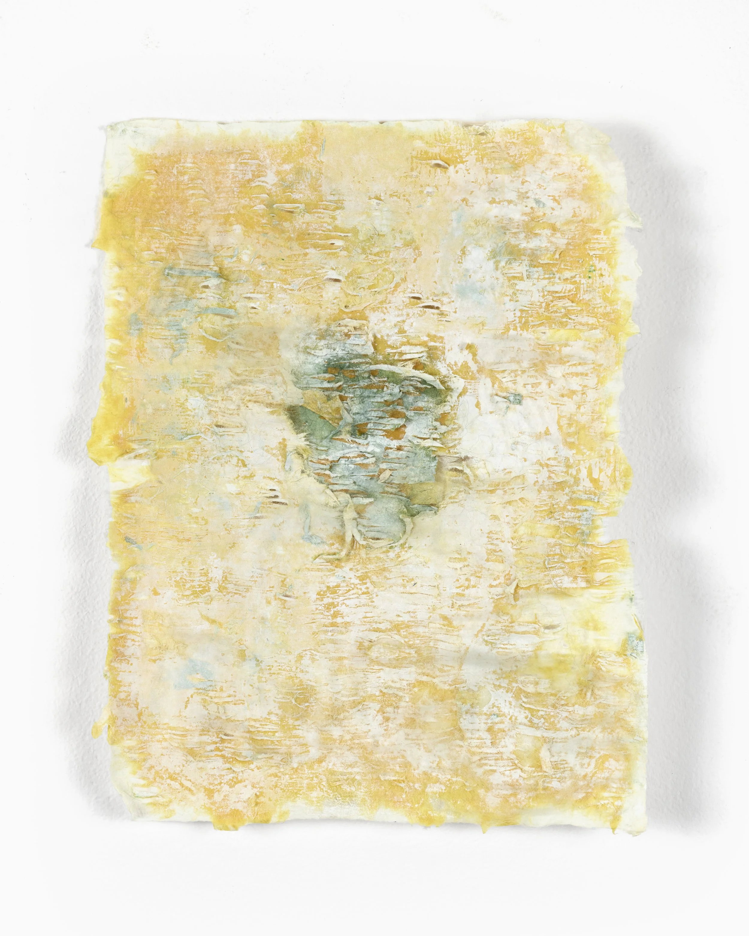 RebeccaBraziel_EdgeConditions_07.jpg