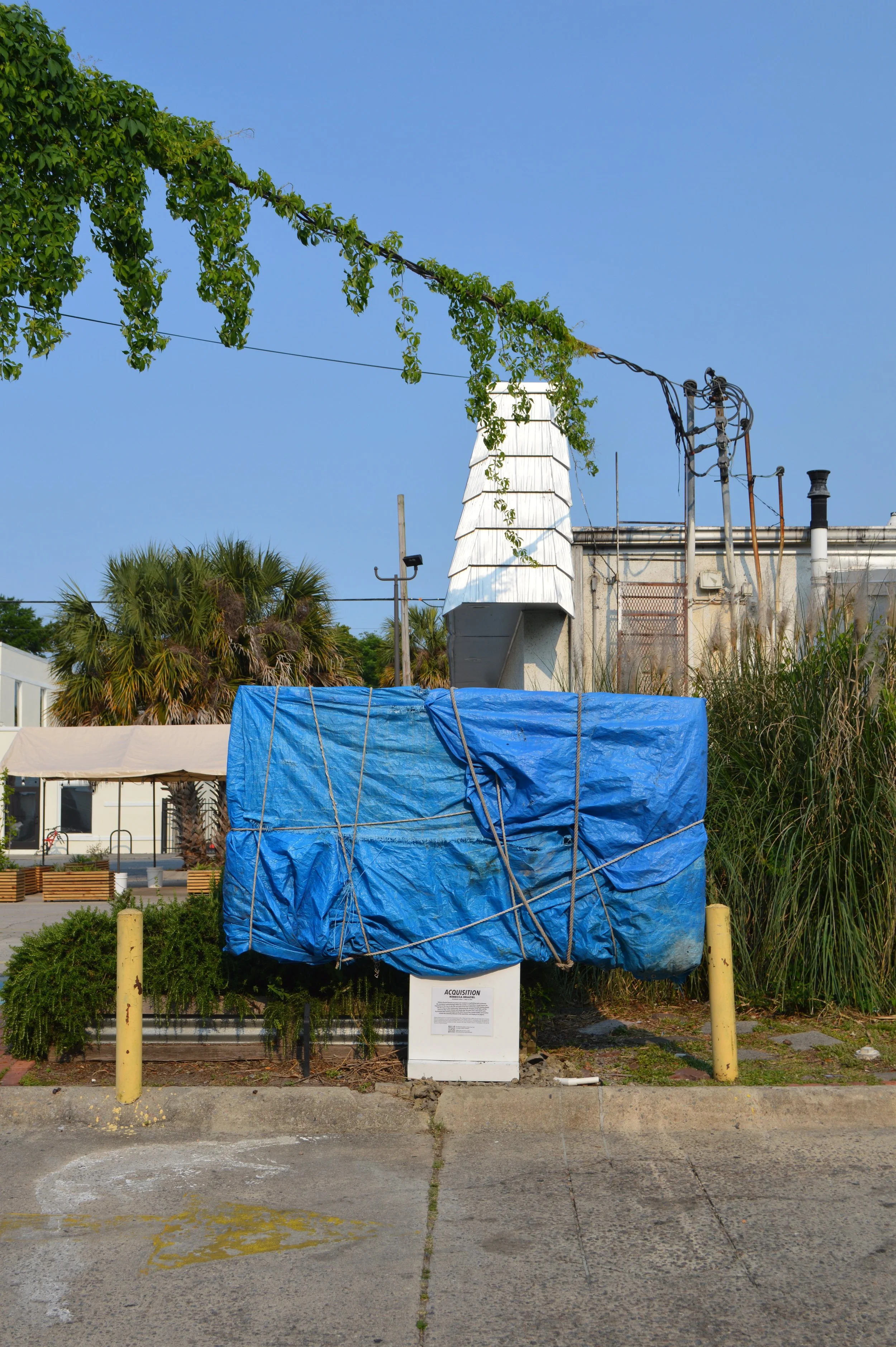 DSC_1641.JPG