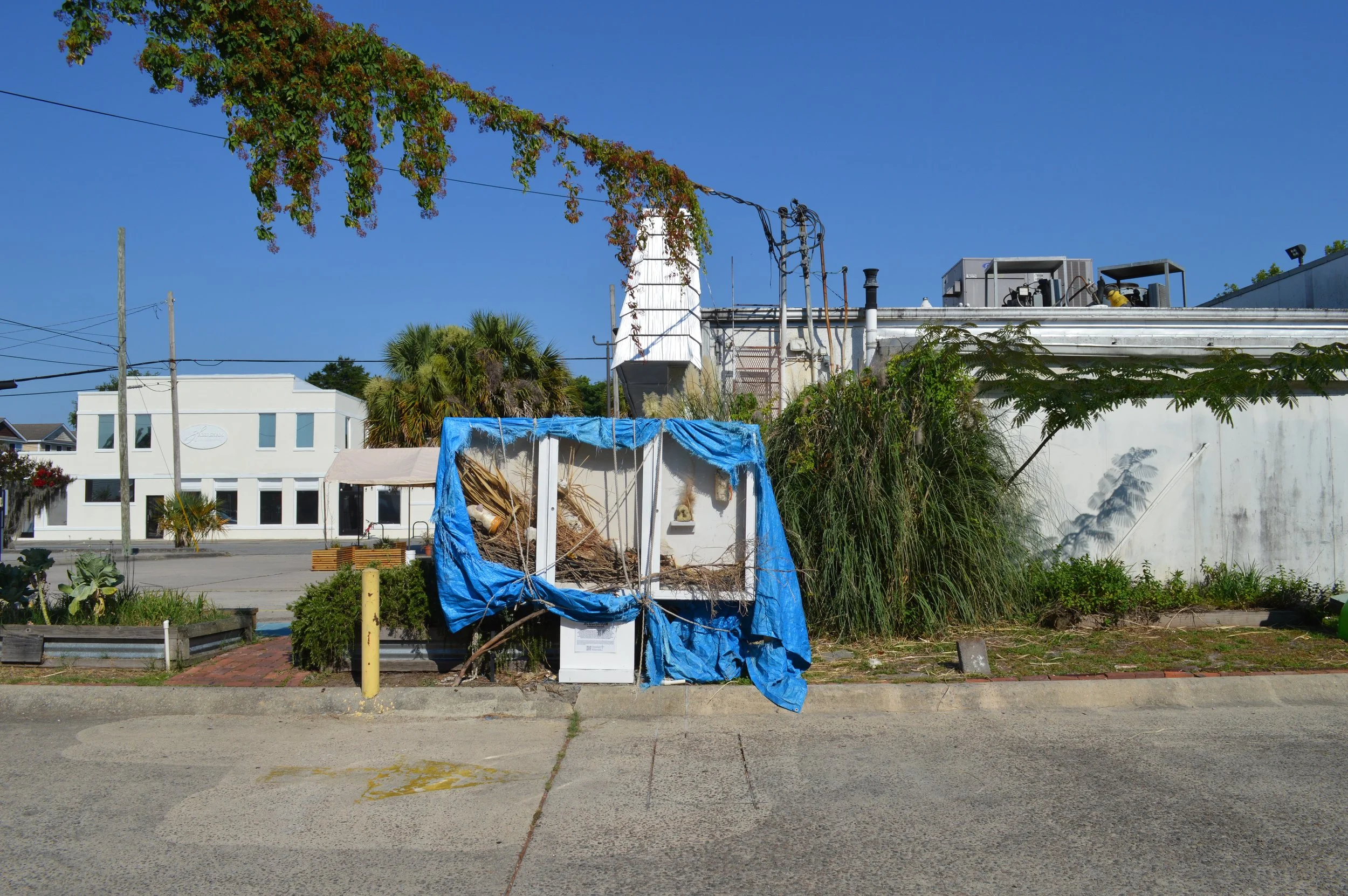 DSC_1702.JPG