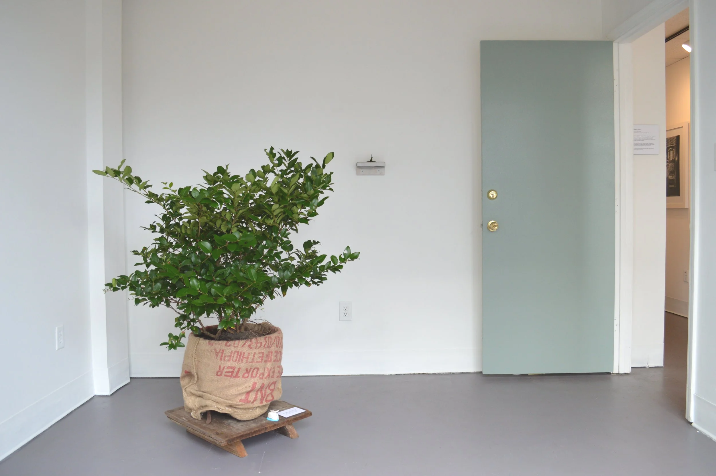 Studio 8
