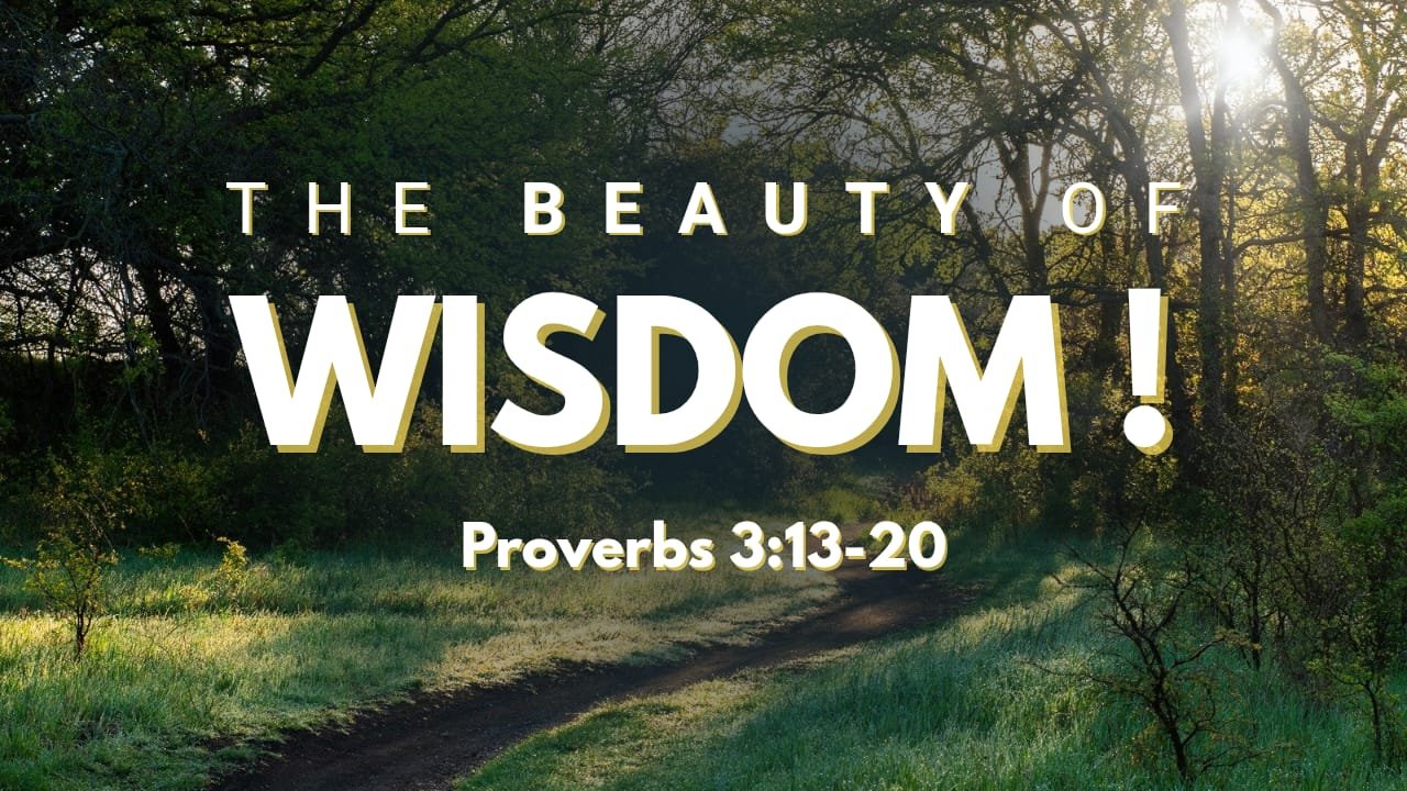 Proverbs 3- The Beauty of Wisdom
