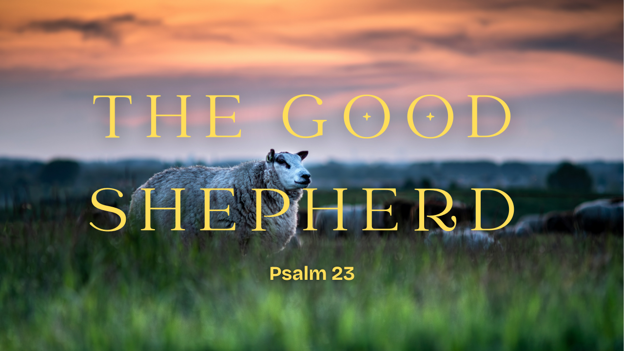 The Good Shepherd- Psalm 23