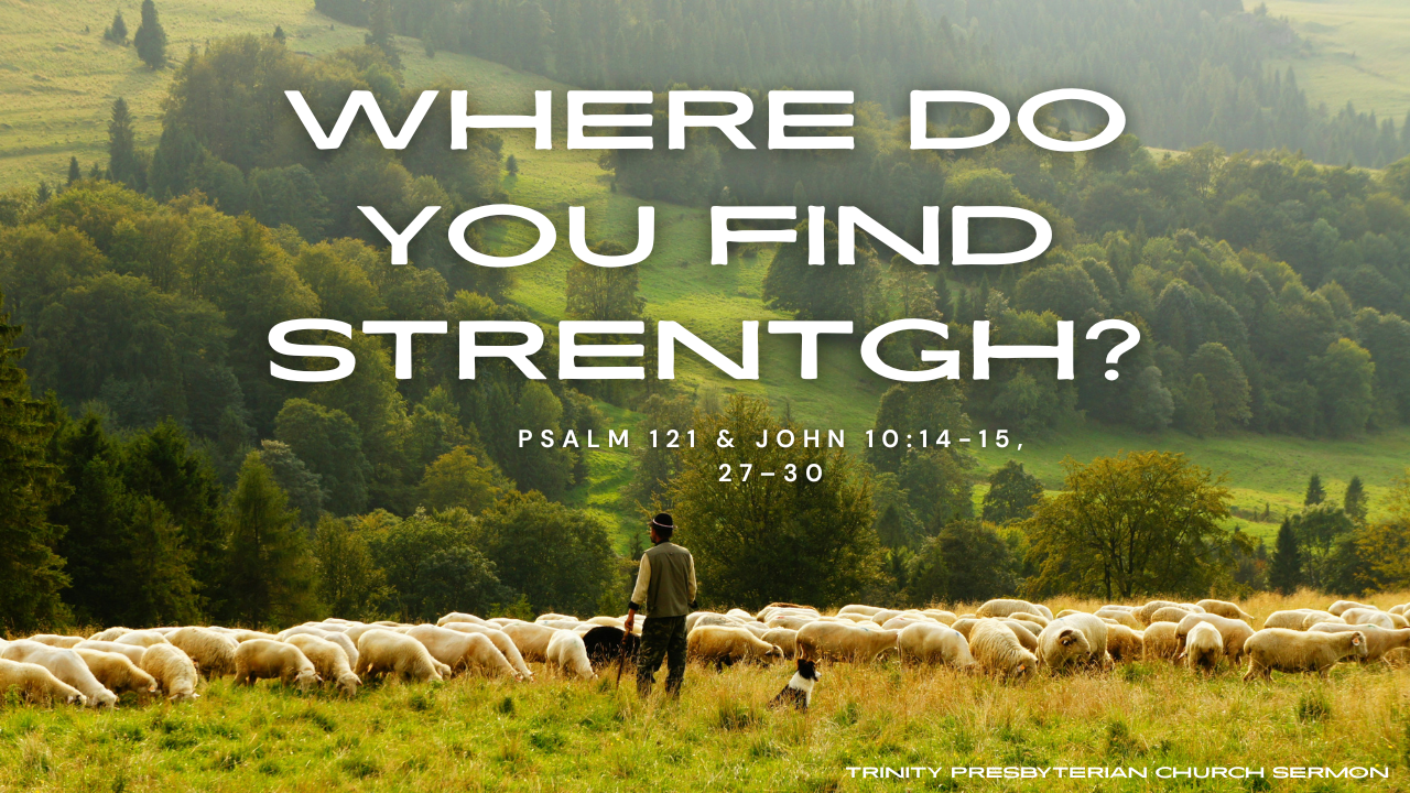 Where do you find strength? - Psalm 121  | Trinity Presbyterian Church Sermon