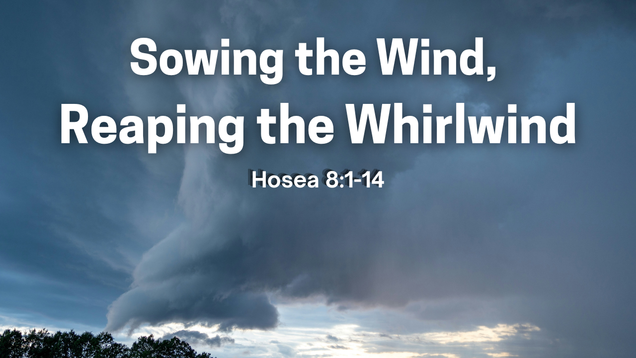  Sowing the Wind, Reaping the Whirlwind (Audio) - Hosea 8:1-14 | Trinity Presbyterian Church Sermon