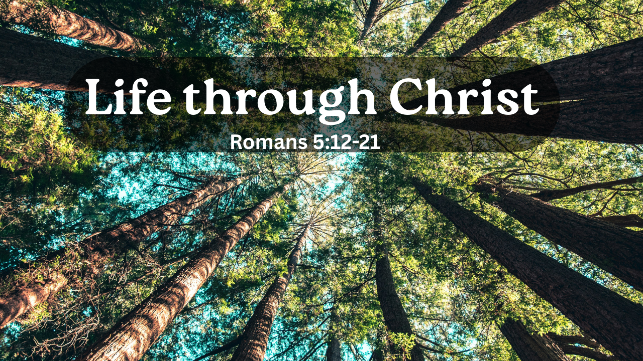 Life through Christ - Romans 5:12-21  | Trinity Presbyterian Church Sermon