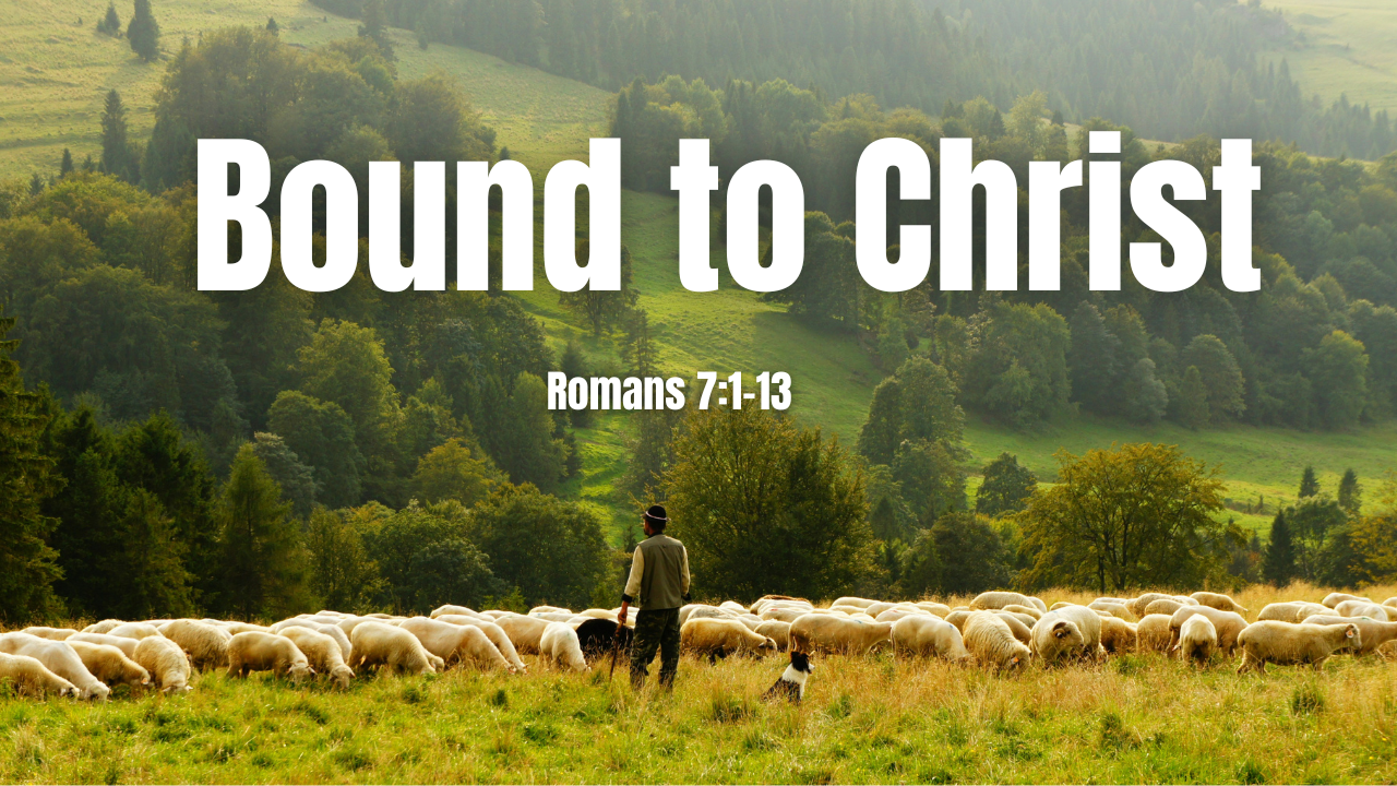 Bound to Christ - Romans 7:1-13  | Trinity Presbyterian Church Sermon 