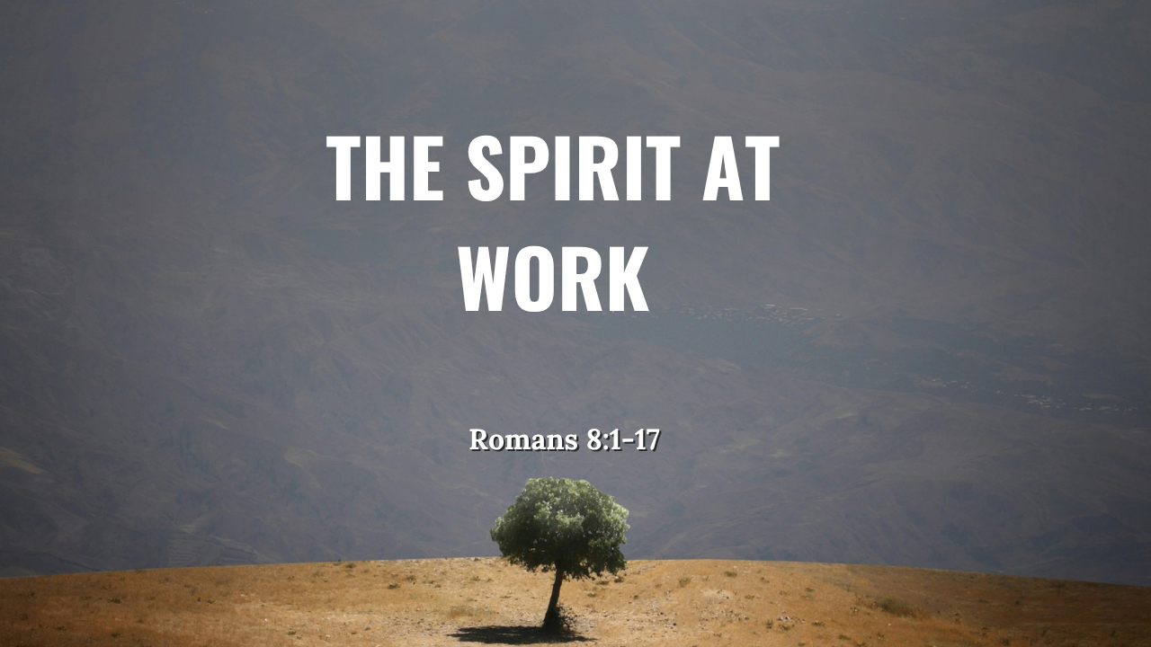 The Spirit at Work - Romans 8:1-17 | Trinity Presbyterian Church Sermon