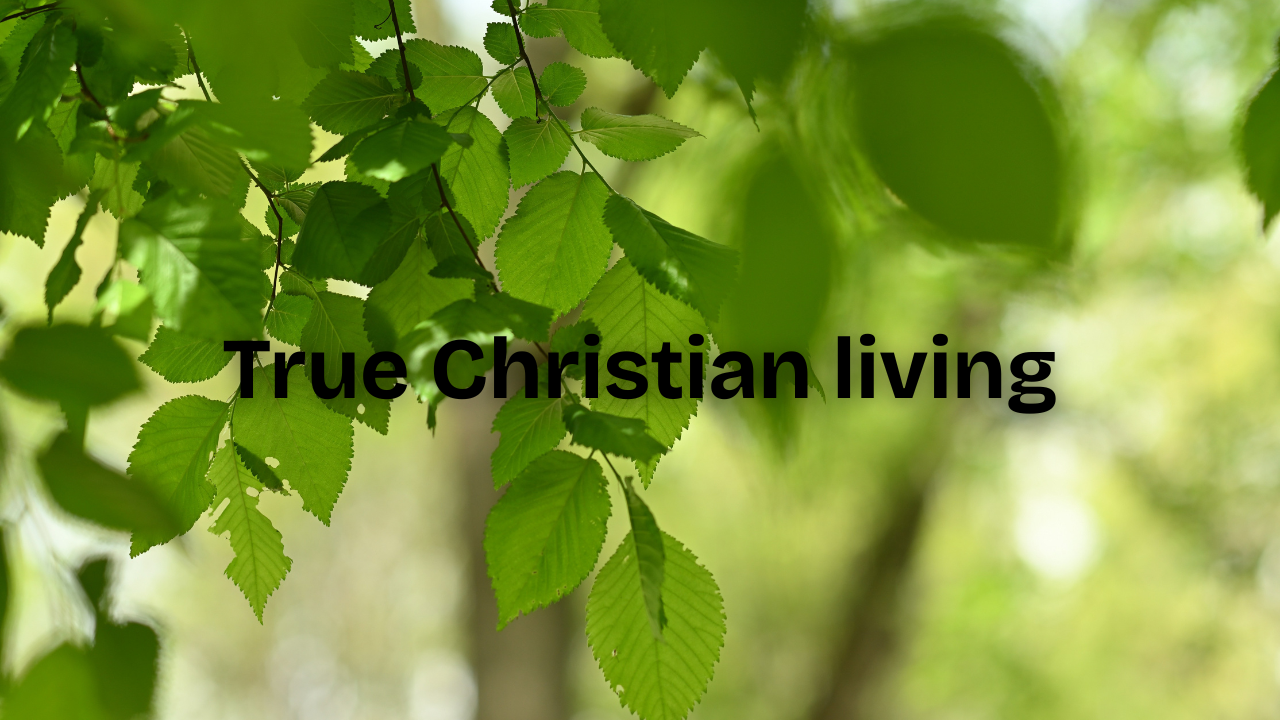 True Christian living - Romans 12:9-21 | Trinity Presbyterian Church Sermon 