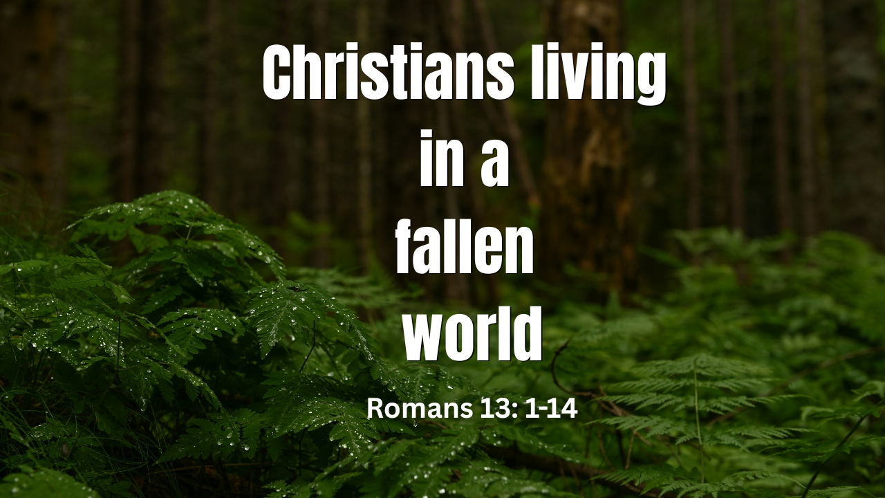 Christians living in a fallen world - Romans 13: 1-14 | Trinity Presbyterian Church Sermon