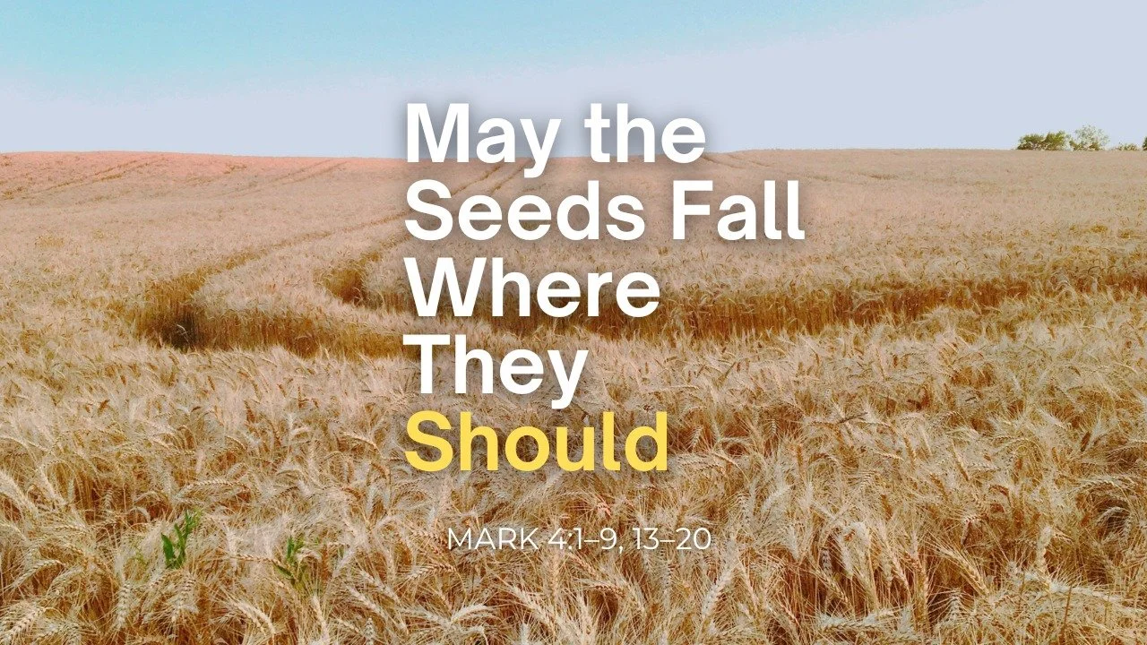 May the Seeds Fall Where They Should - Mark 4:1-9, 13-20 | Trinity Presbyterian Church Sermon