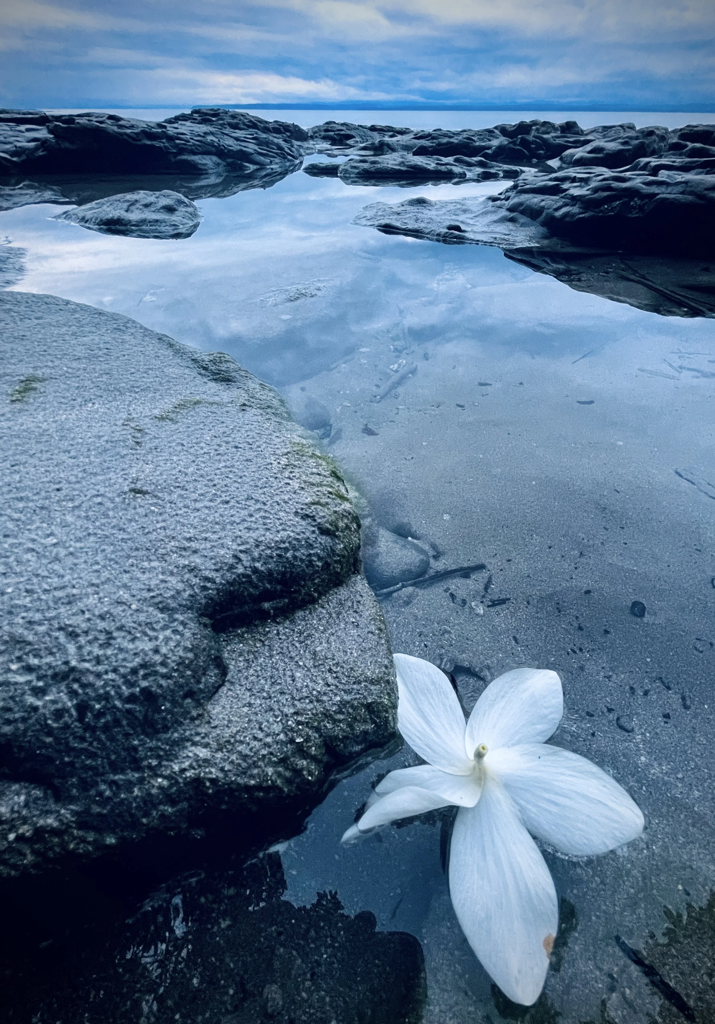 The Gloaming - Costa Rica