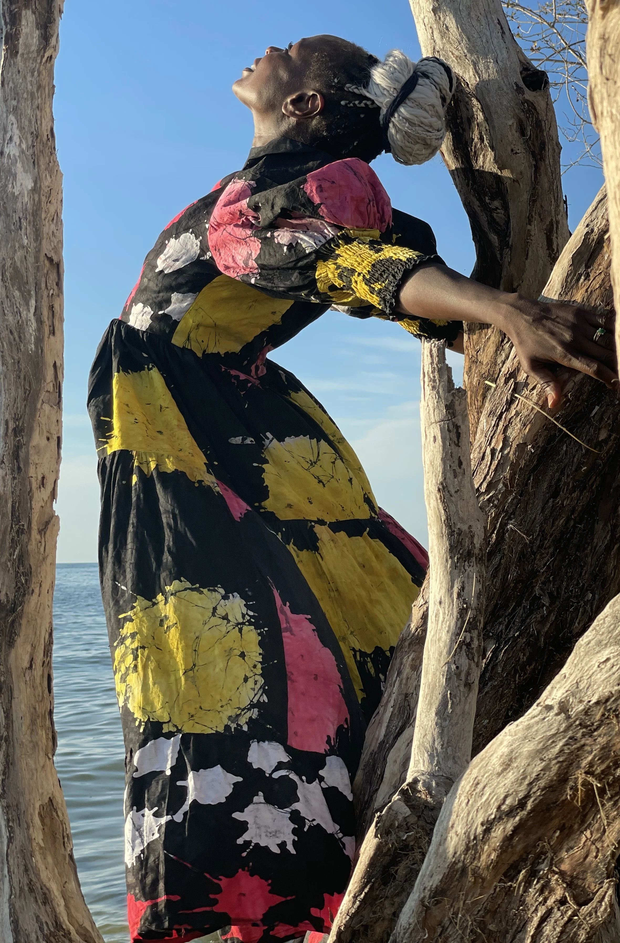 Busayo Dress - Captiva