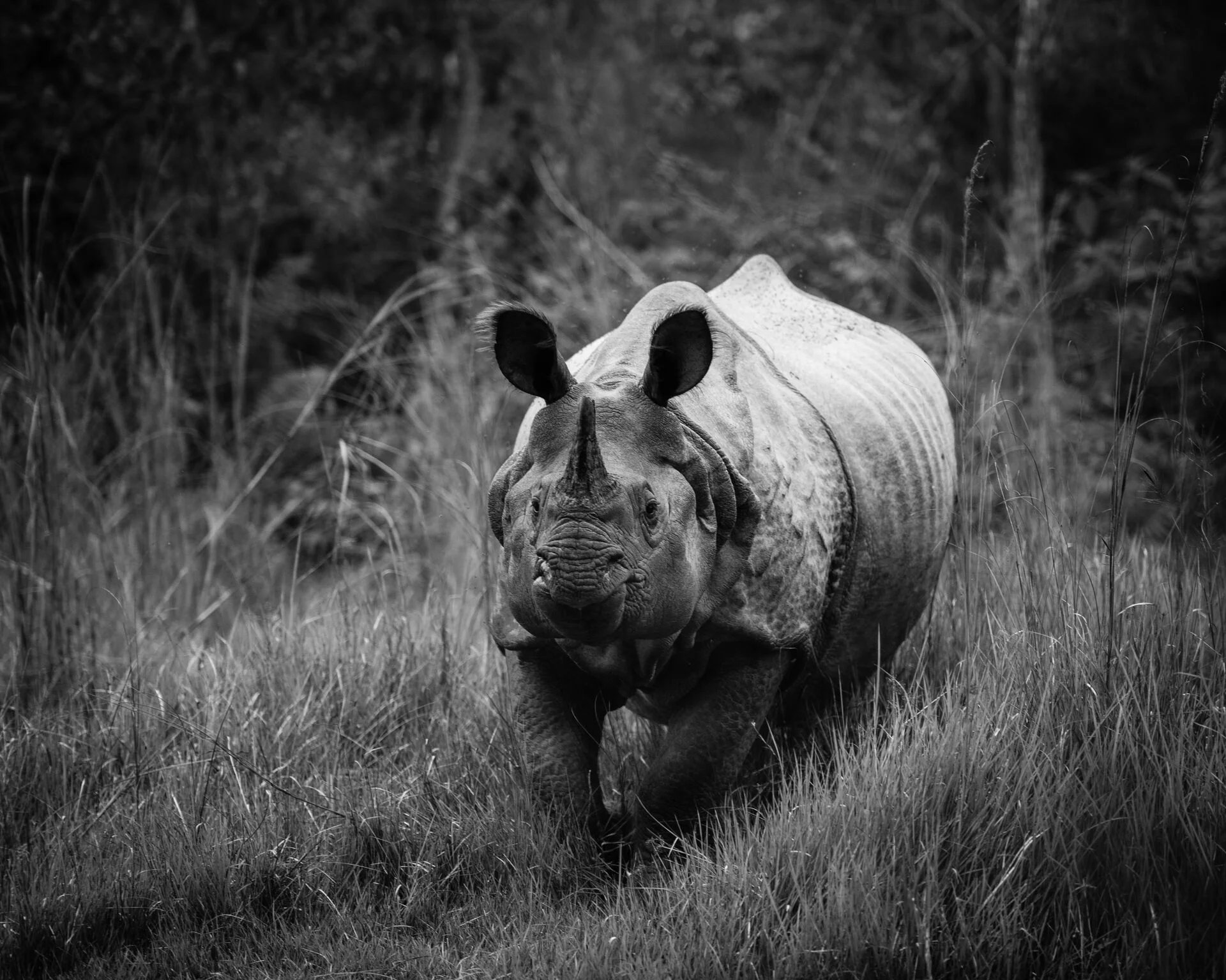 20151116-TharuLodge32-27-Edit.jpg