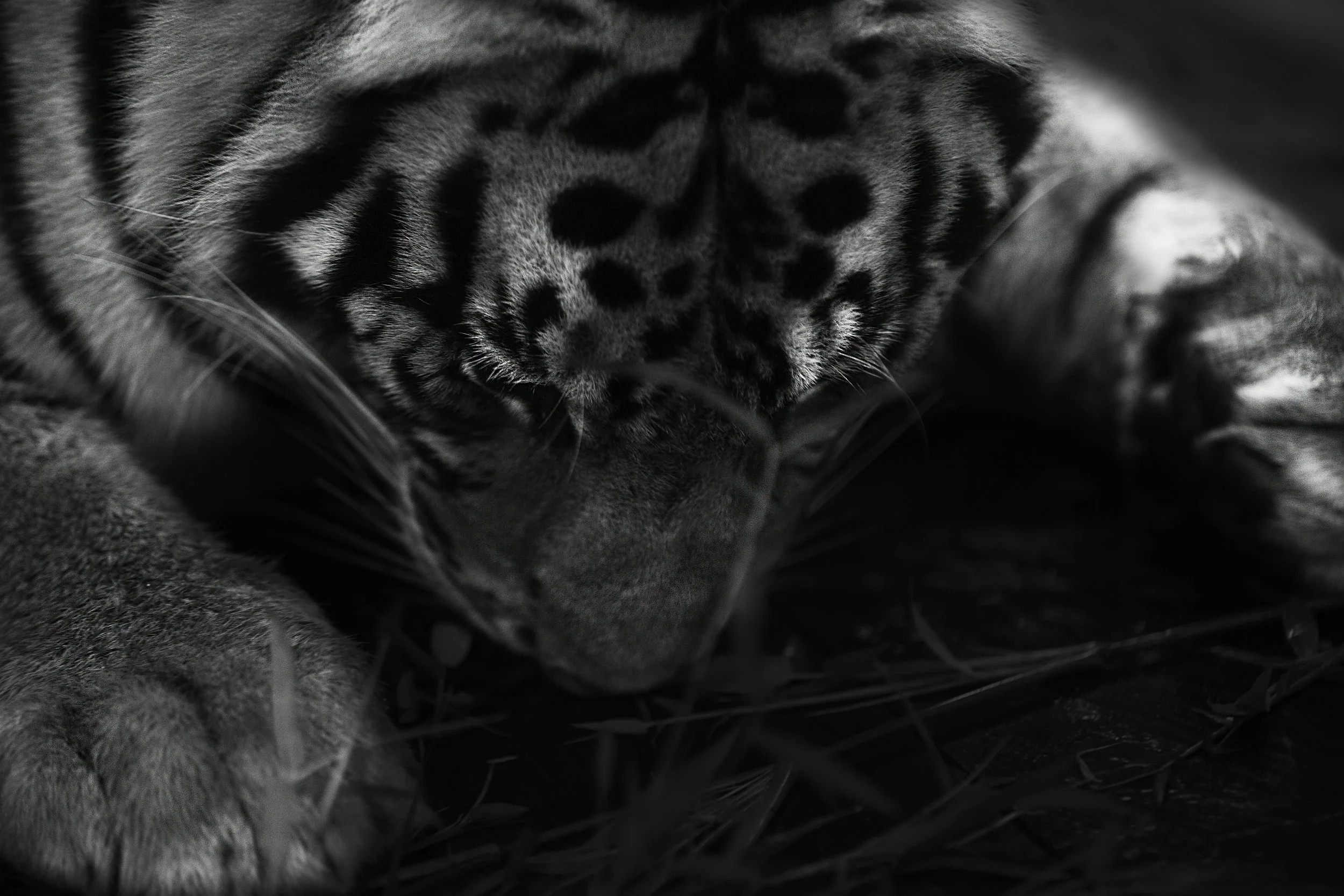 AdobeStock_174428144 (1).jpeg