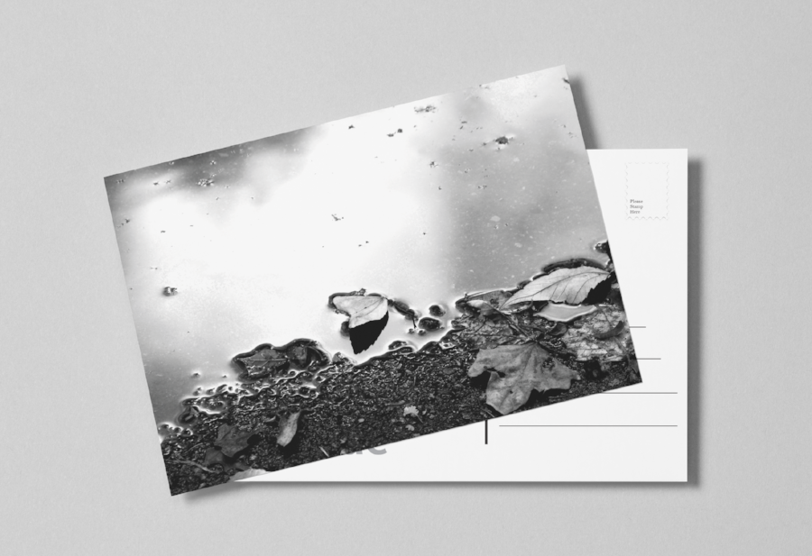 Postcards are designed to help create and keep a strong friendship. Some to discover how to say the things that are most important with little space. They are also designed to give people a piece of a place they have visited and to send to family a