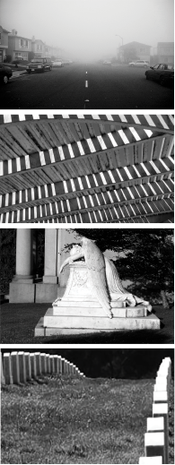 photos.png