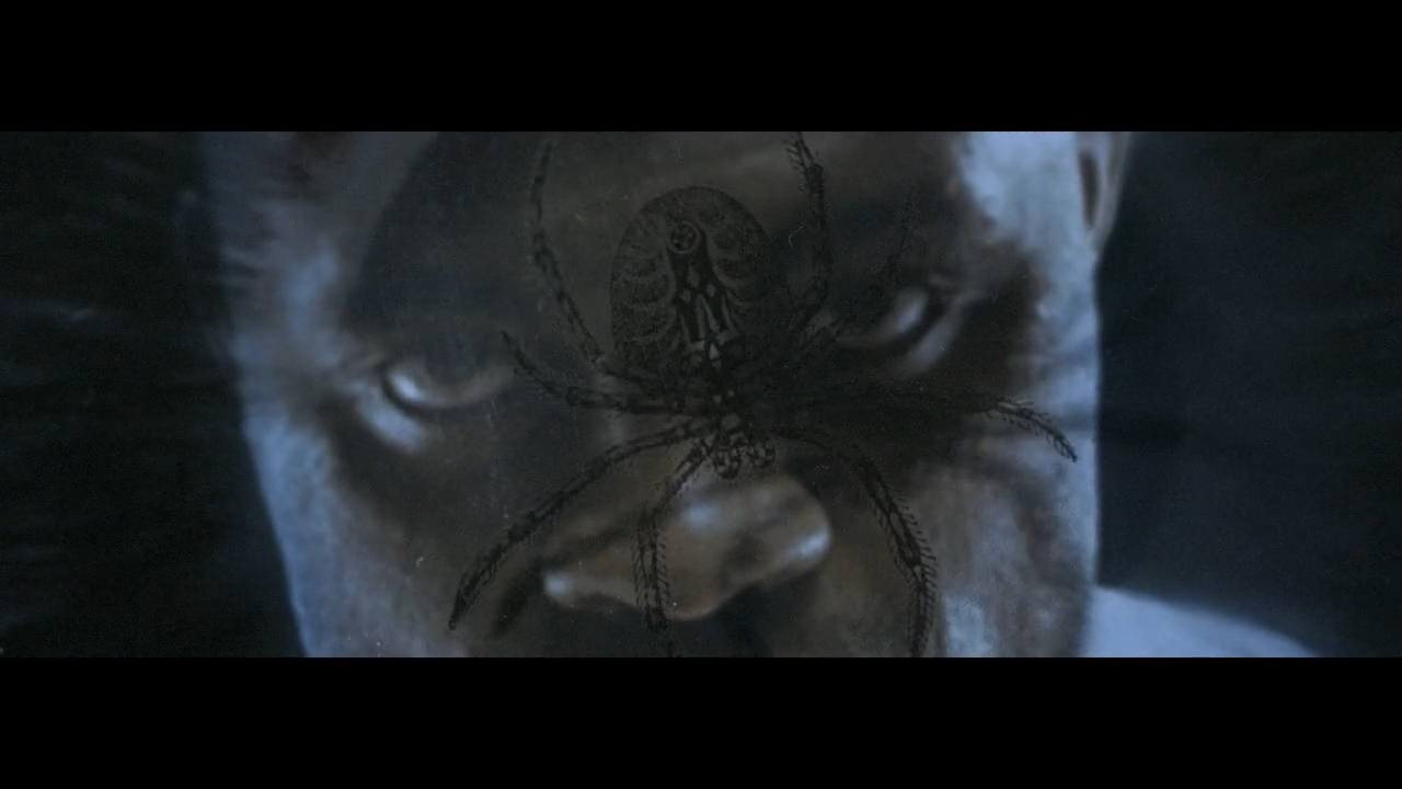 BUD_BE_SPIDER_80.jpg
