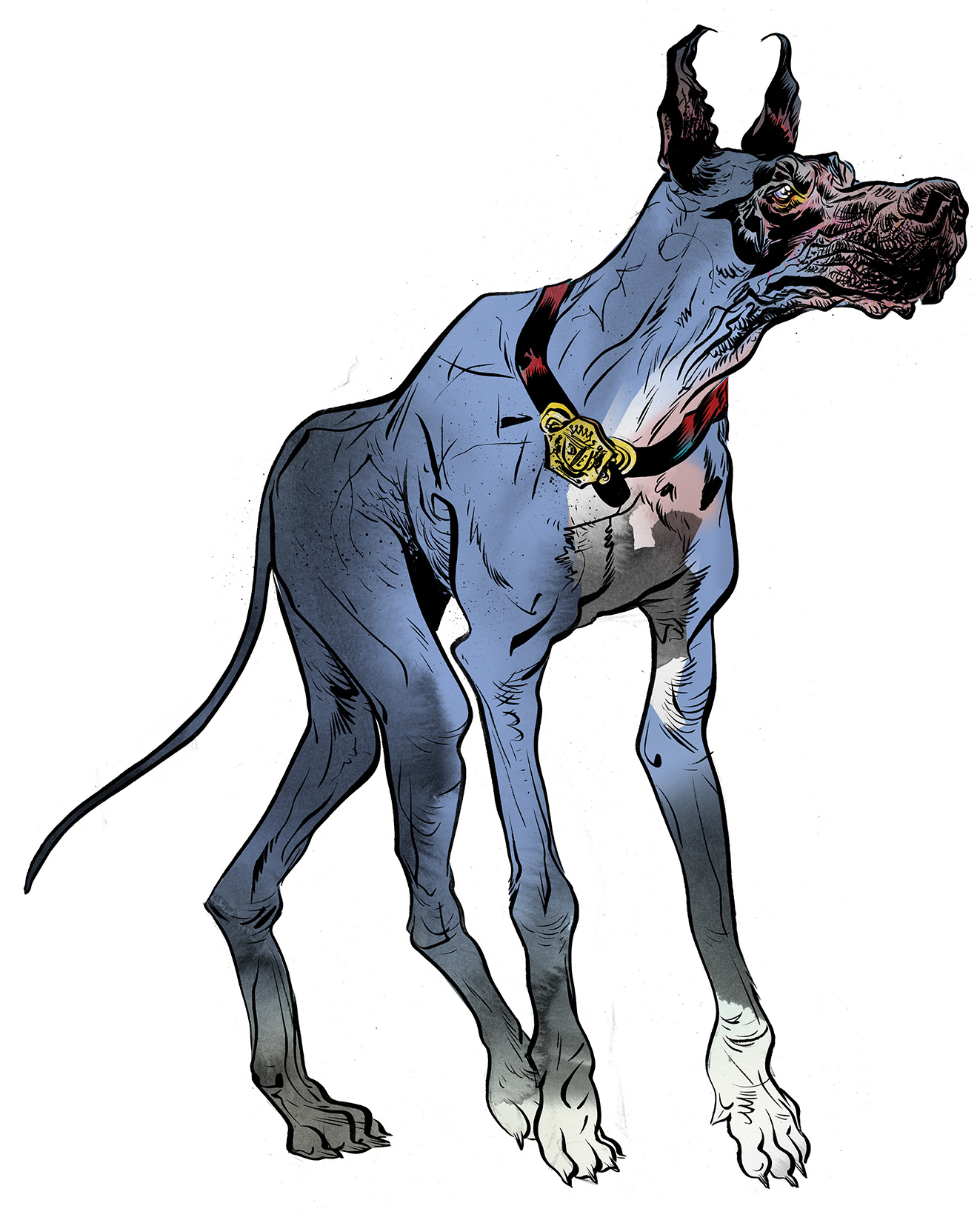 dogfinal.jpg