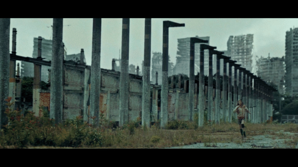 ARANHA-NEW.gif