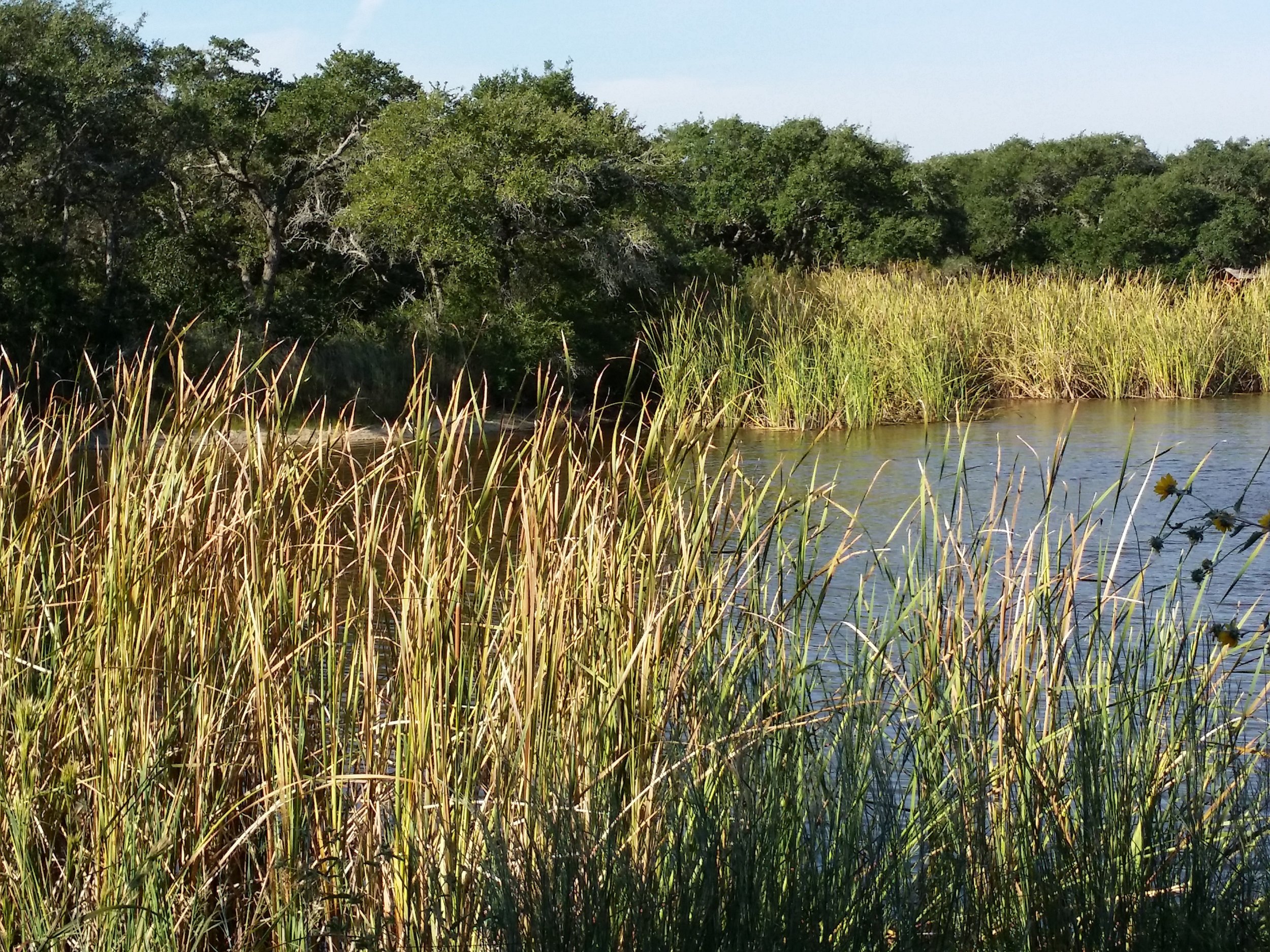 ROCKPORT MEMORIAL PARK.jpg