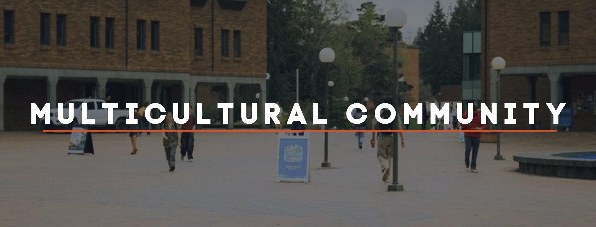 CCF Website headers - Multicultural Community.png