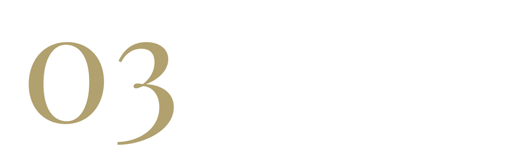 03.png