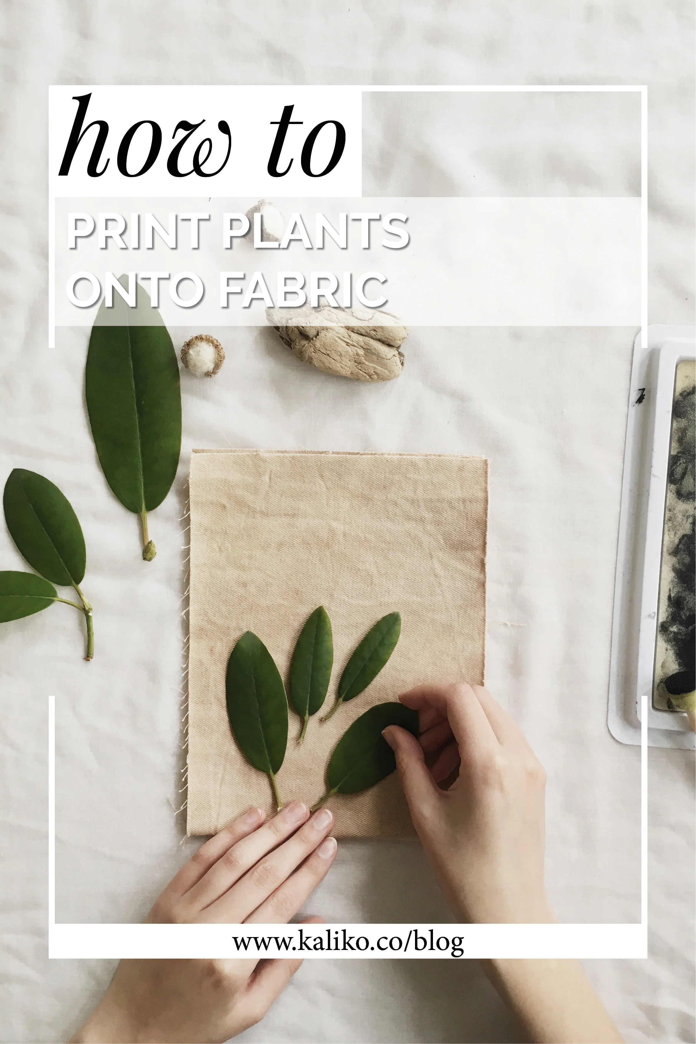 HOW TO PRINT WITH PLANTS ONTO FABRIC.jpg