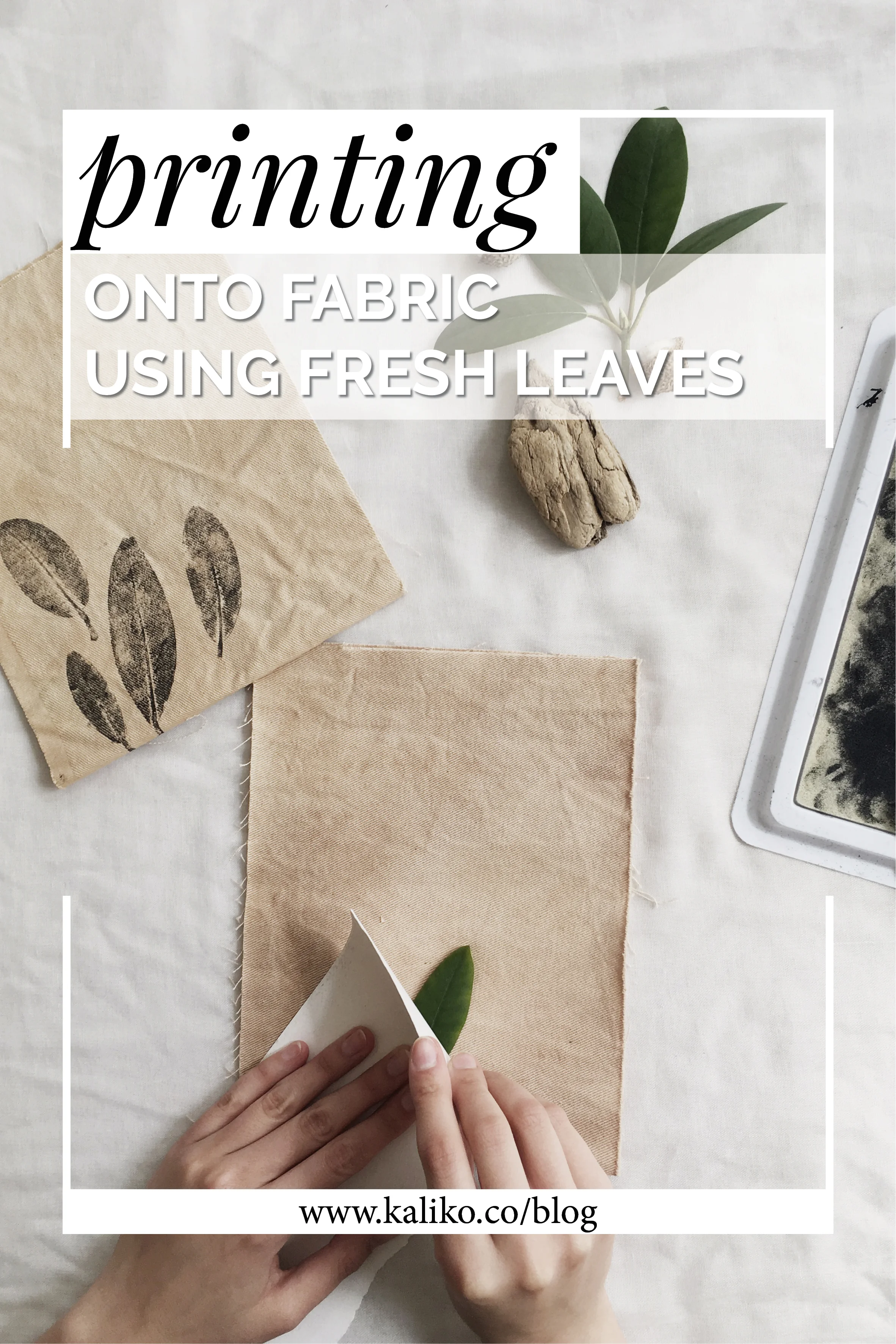 PRINTING ONTO FABRIC USING FRESH LEAVES.jpg