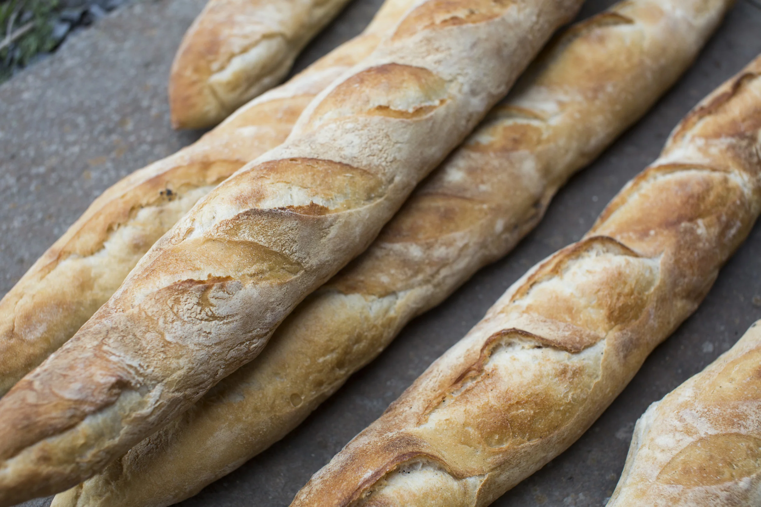 Wildflour_Hearth&DemiBaguettes_008.JPG