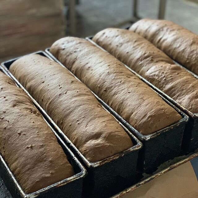 #proofing #overnight our first batch of #pumpernickel is coming out early next week.  Hoping to get a #loaf or two out this #weekend #breadlife #bakerswife #blackbread #fennel #carraway #yesitsseeded #artisanbread #breadbakery #phillymade #philly #ph