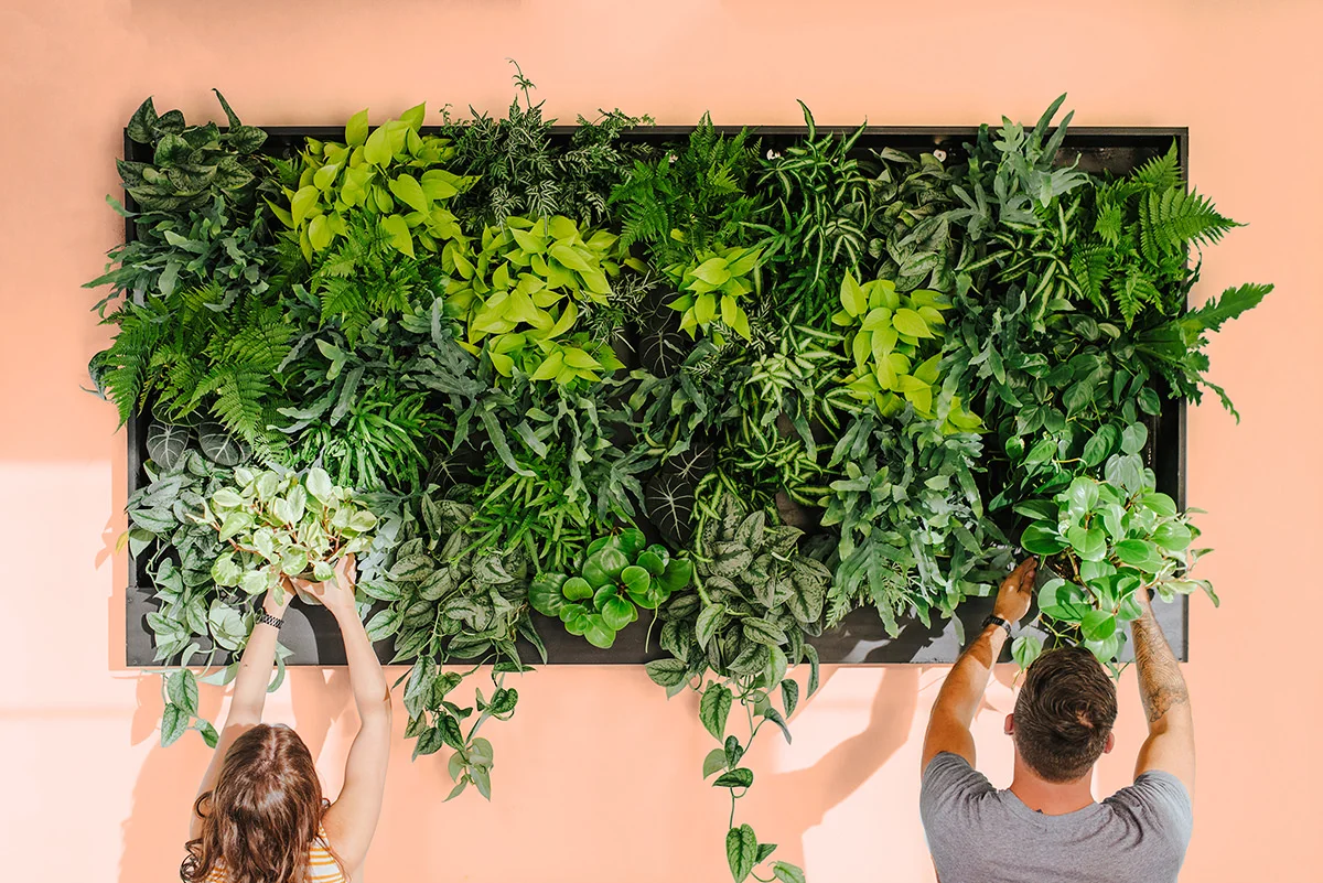 garden-wedding-aisle-fancy-free-nursery-tampa.jpg