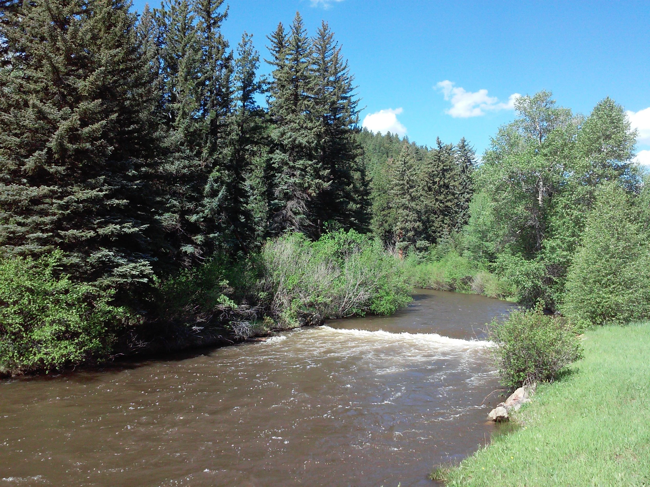 20150613_100058.jpg