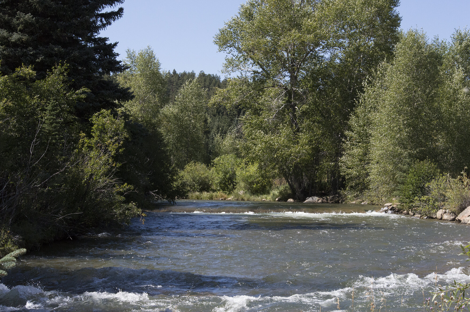 river_late_summer_reduced.jpg