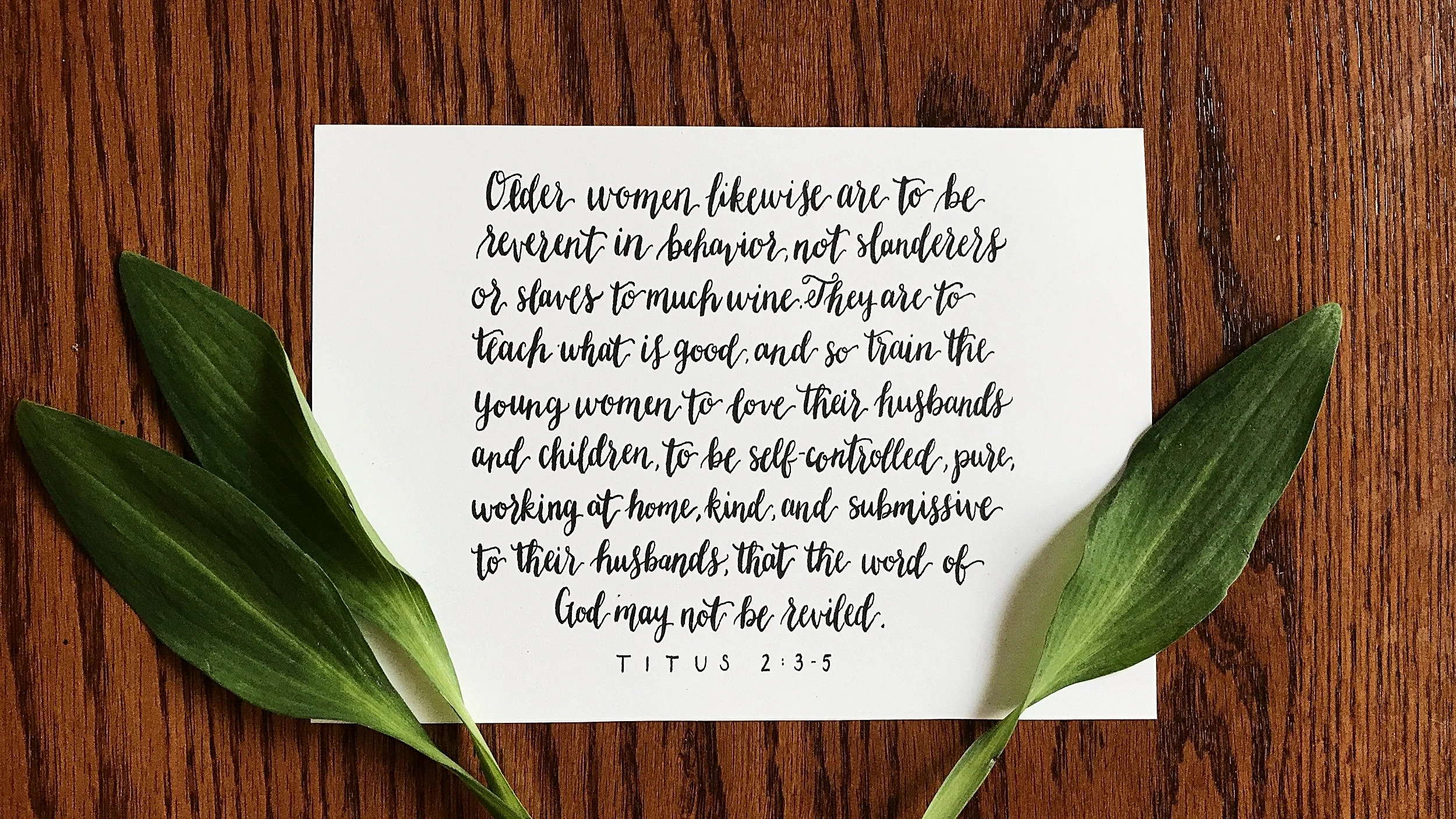 Calligraphy by Kori rentals & more 