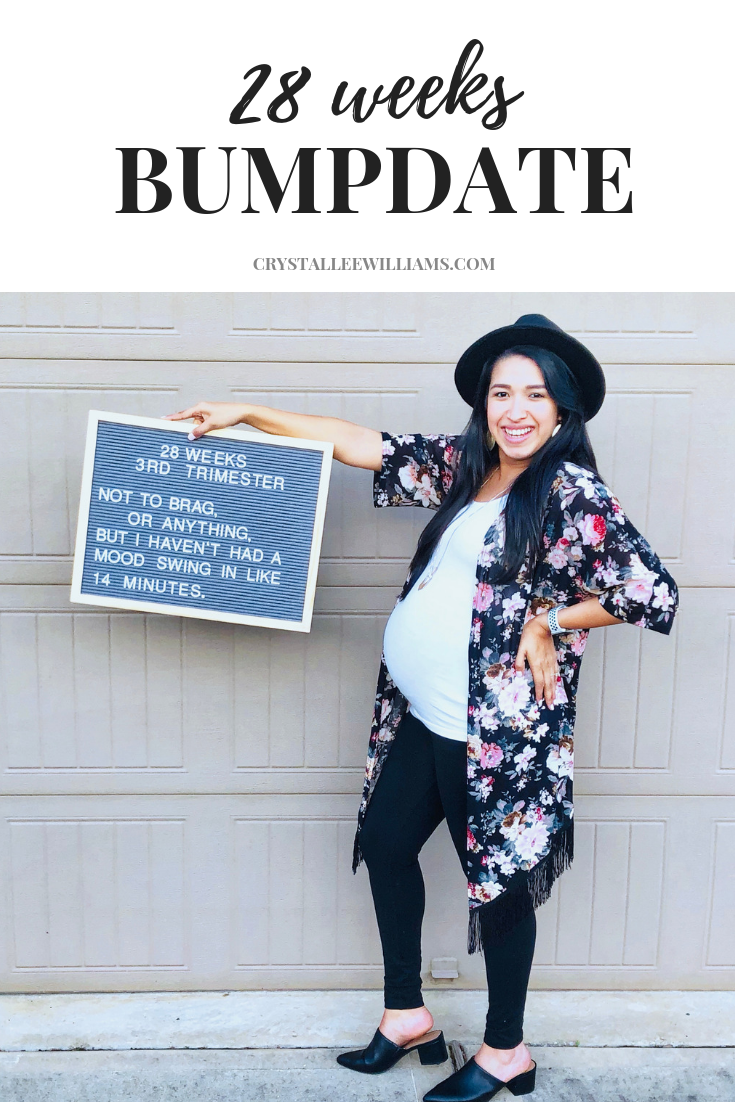 28 Weeks Pregnant Bumpdate — crystal lee williams