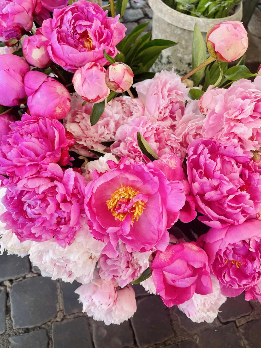 Saw Peonies on our last day in Rome